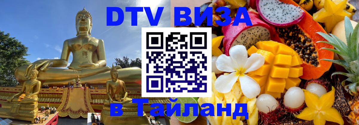 Оформление DTV визы под ключ: стоимость и тарифы, только загранпаспорт - 19.11.2025 